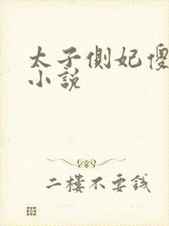 太子侧妃傻乎乎小说