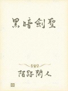 黑暗剑圣封面
