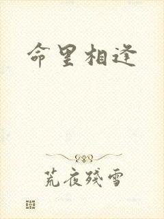 命里相逢