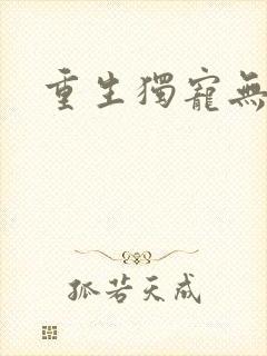 重生独宠无二