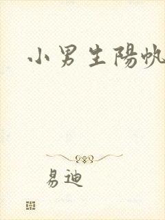 小男生阳帆