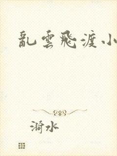 乱云飞渡小说