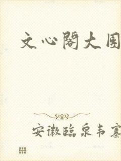 文心阁大团结封面
