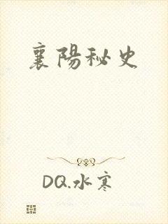 襄阳秘史