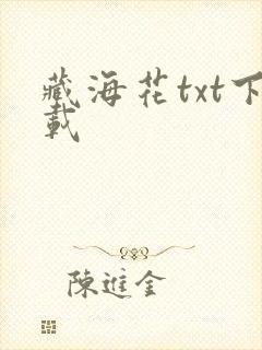 藏海花txt下载