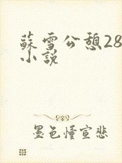 苏雪公憩28篇小说封面