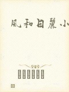 风和日丽小说