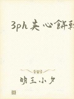 3ph夹心饼干