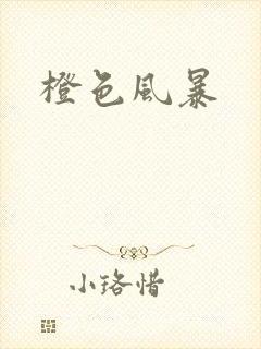 橙色风暴封面