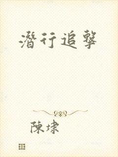 潜行追击