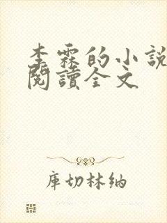 李霖的小说免费阅读全文