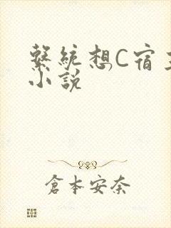 系统想C宿主的小说