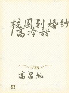 校园到婚纱1V1高冷甜