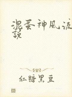 混蛋神风流史小说封面