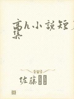 高h小说短篇合集