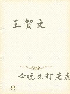 王贺文