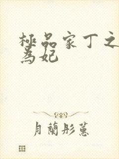 极品家丁之册母为妃