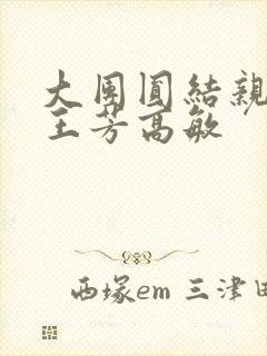大团圆结亲情会王芳高敏封面