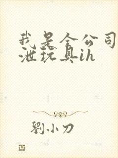 我是全公司的发泄玩具ih封面