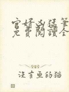 官婿凶猛笔趣阁免费阅读全文