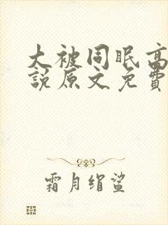 大被同眠高粱小说原文免费阅读