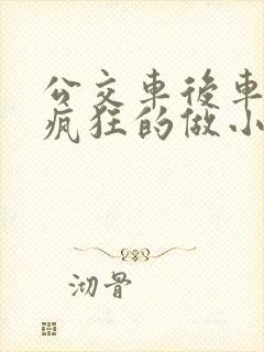公交车后车座的疯狂的做小