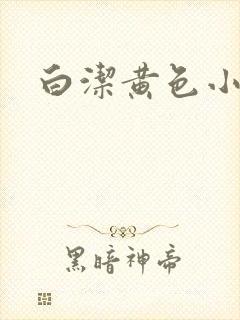 白洁黄色小说