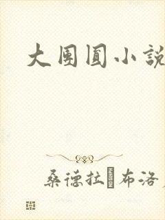 大团圆小说