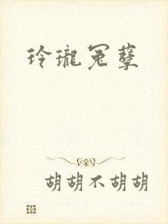 玲珑冤孽