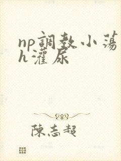 np调教小荡货h灌尿