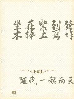 坐在紫到发黑的木棒上写作业