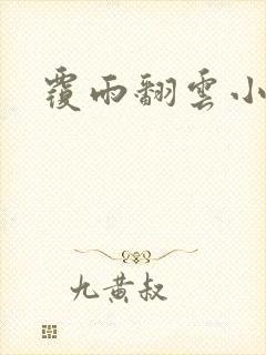 覆雨翻云小说