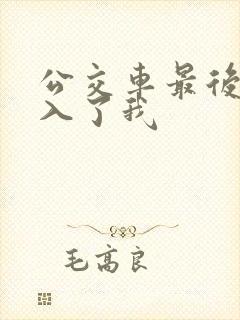 公交车最后一排入了我