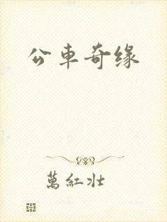公车奇缘