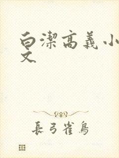 白洁高义小说全文