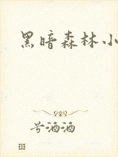 黑暗森林小说封面