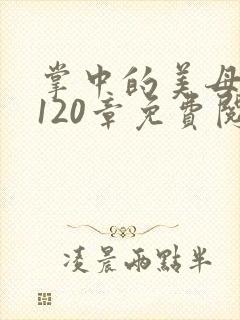 掌中的美母版主120章免费阅读