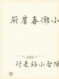 厨房春潮小说