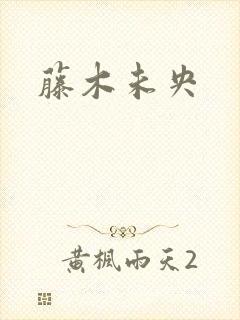 藤木未央封面