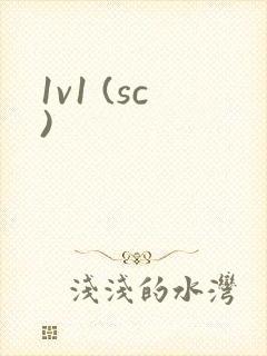1v1 (sc)