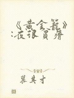 书籍封面
