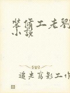 装修工老刘林雪小说