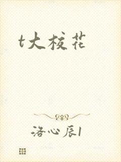t大校花