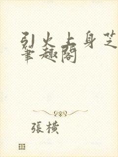 引火上身芝麻糖笔趣阁封面