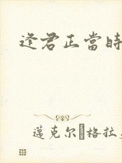 逢君正当时