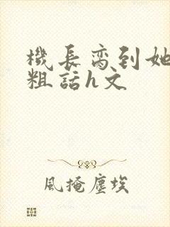 机长脔到她哭h粗话h文封面