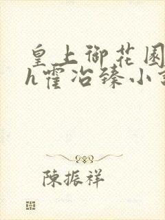 皇上御花园hlh霍冶臻小说封面