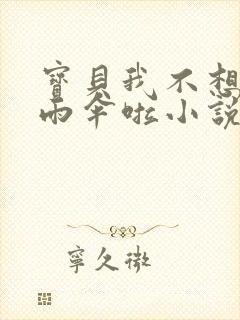 宝贝我不想带小雨伞啦小说封面