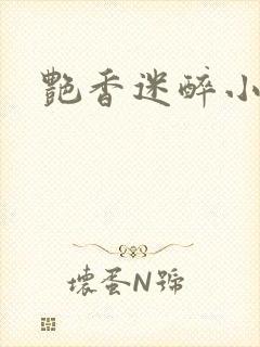 艳香迷醉小说