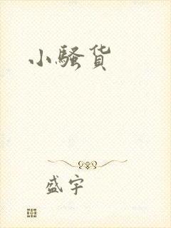 小骚货
